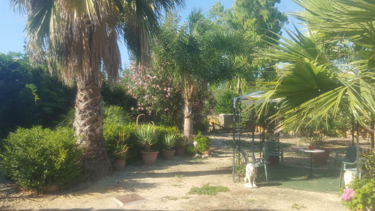 La Collina Delle Ginestre