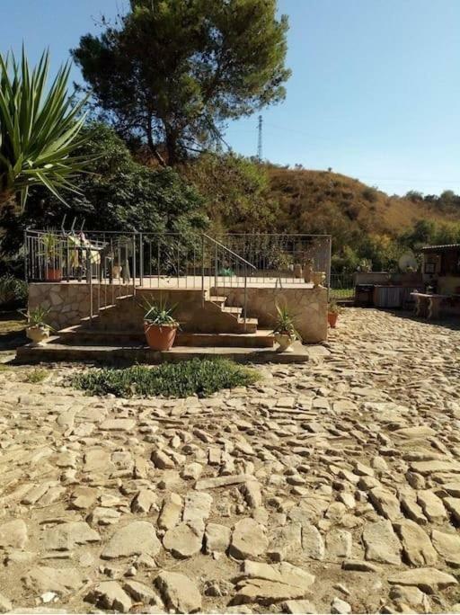 La Collina Delle Ginestre