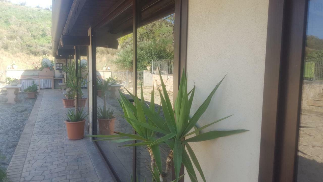 La Collina Delle Ginestre *