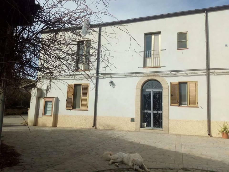 Holiday home La Collina Delle Ginestre